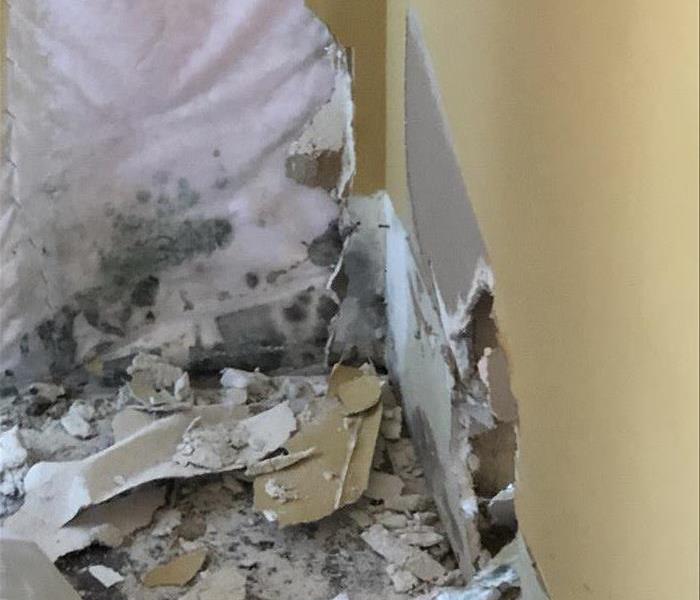 Mold growing in an interior wall